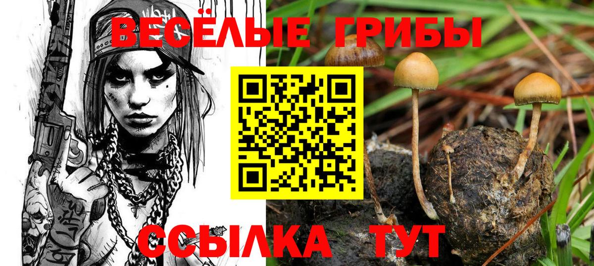 Псилоцибиновые грибы Magic Shrooms Малоярославец