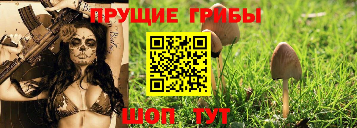 Малоярославец  Псилоцибиновые грибы прущие грибы  Вход с VPN 